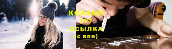 твердый Арсеньев