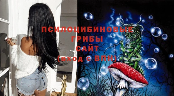 твердый Арсеньев
