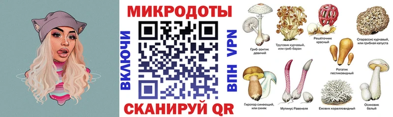 Псилоцибиновые грибы прущие грибы Каспийск