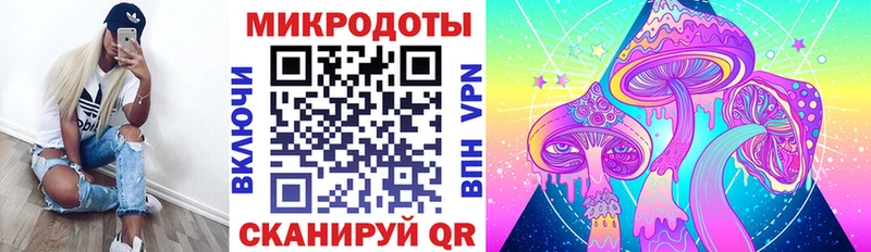 как найти   Каспийск  Галлюциногенные грибы Psilocybe 